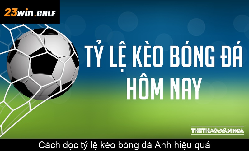 Cách đọc tỷ lệ kèo bóng đá Anh hiệu quả