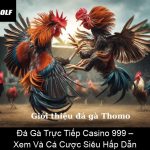 Đá Gà Trực Tiếp Casino 999 – Xem Và Cá Cược Siêu Hấp Dẫn