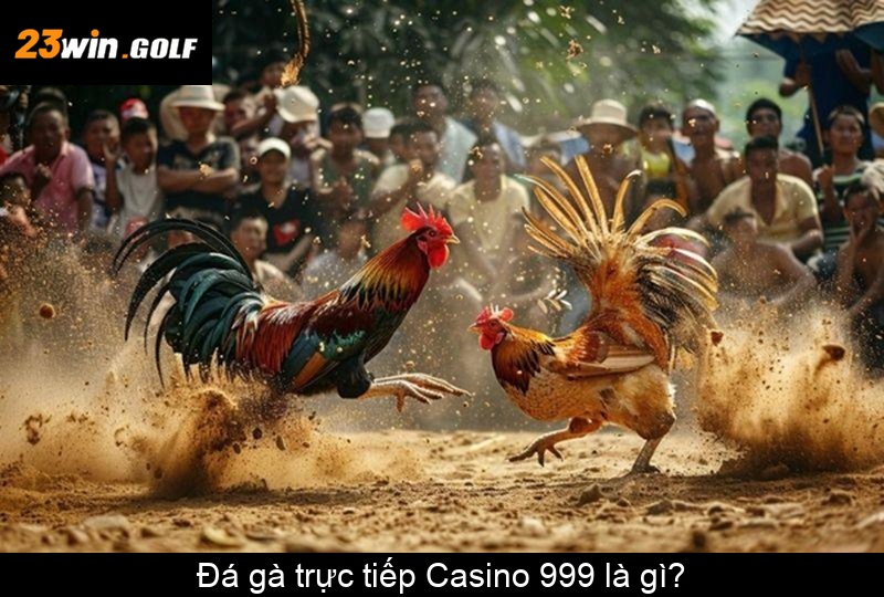 Đá gà trực tiếp Casino 999 là gì