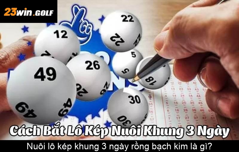 Nuôi lô kép khung 3 ngày rồng bạch kim là gì